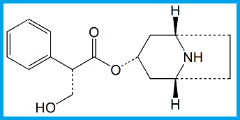 HYOSCYAMINE EP IMPURITY E / HYOSCINE EP IMPURITY A / HYOSCYAMINE USP RC A 